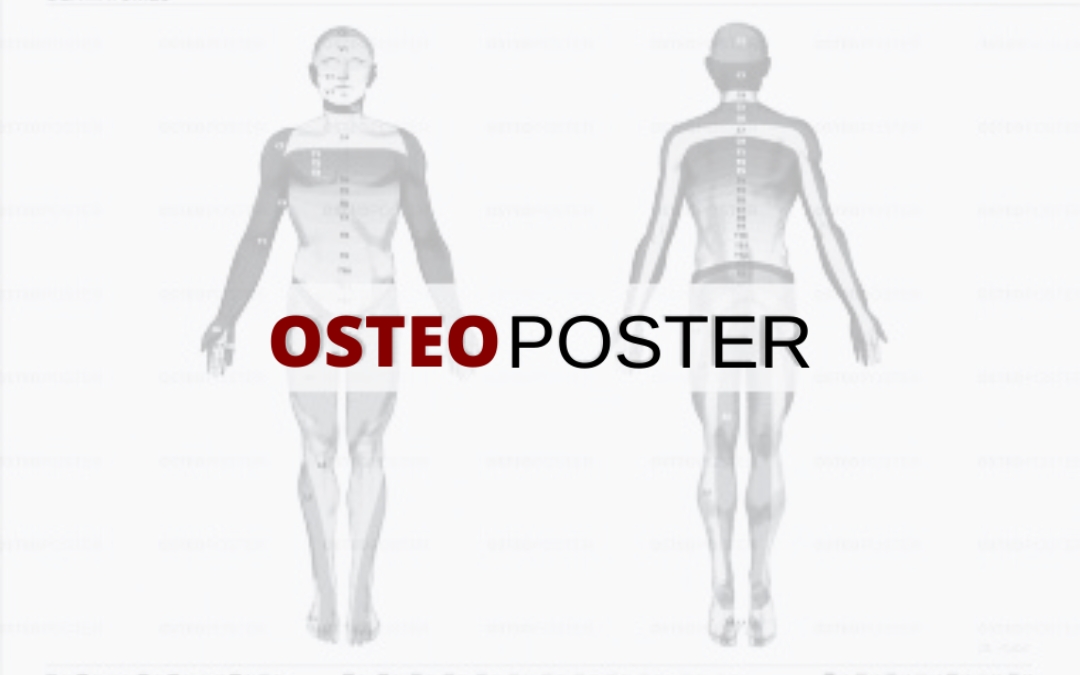 Osteoposter – le tavole per gli osteopati